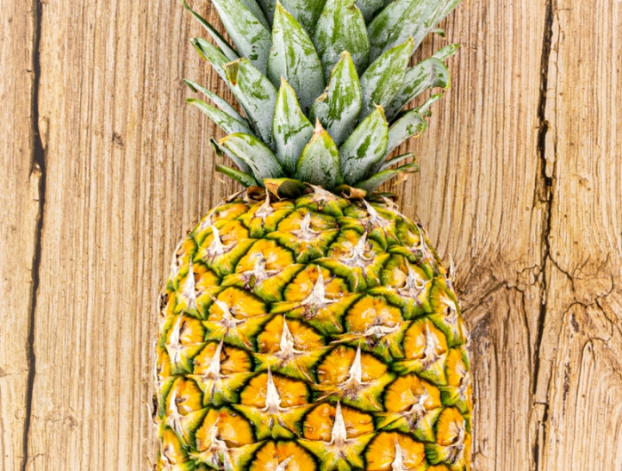 gesude früchte züchten ananas pflanze pflege