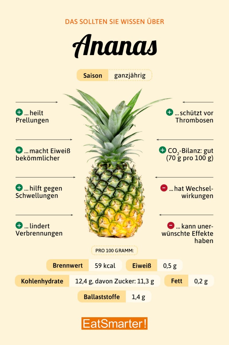 gesundheitliche vorteile ananaspflanze pflege hilfreiche informationen