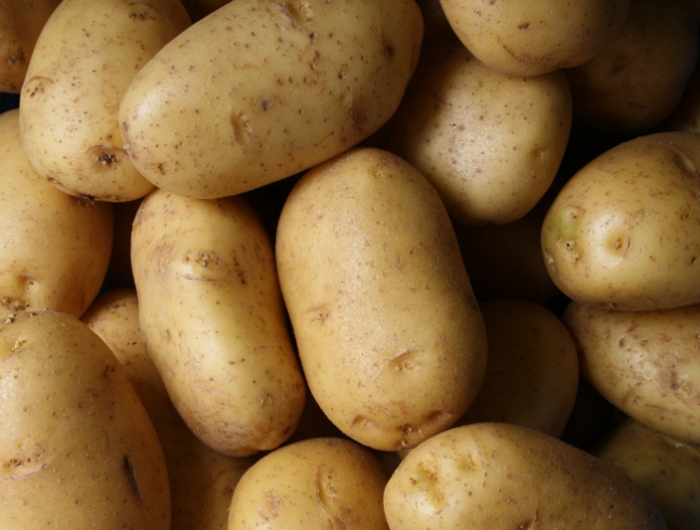 informationen für wie lange sind kartoffeln haltbar tipps