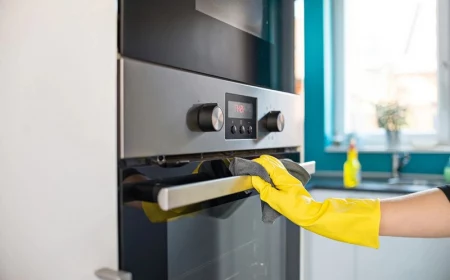 kann ich den backofen mit zitronensäure reinigen backofen reinigen hausmittel