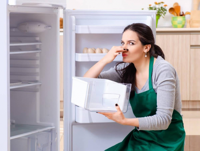 kühlschrank säubern gegen schlechten geruch mit.geruchnatürlichen geruchsabsorber zur vorbeugung ins kühlschrank regal.jpg