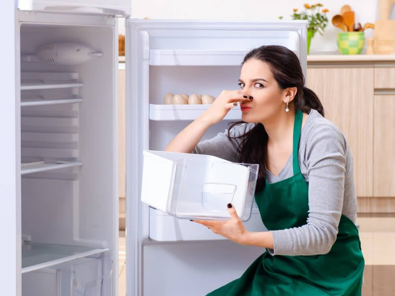 kühlschrank säubern gegen schlechten geruch mit.geruchnatürlichen geruchsabsorber zur vorbeugung ins kühlschrank regal.jpg