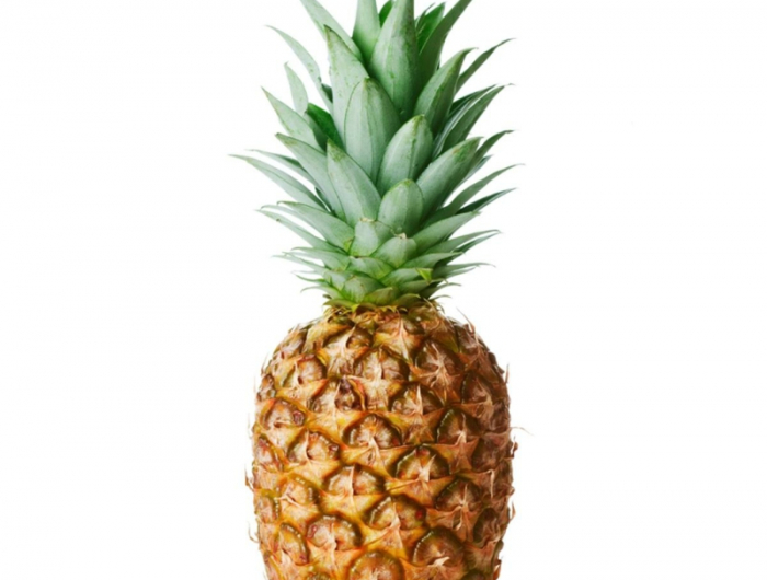 leckere früchte wie wachsen ananas information und pflege tipps