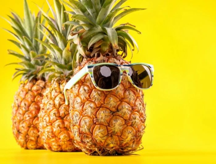 lustiges bild ananasfrucht mit sonnenbrillen ananas züchten