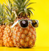 lustiges bild ananasfrucht mit sonnenbrillen ananas züchten