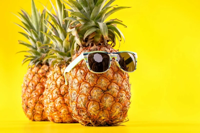 lustiges bild ananasfrucht mit sonnenbrillen ananas züchten