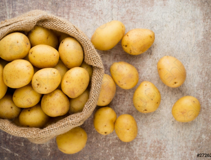 sack mit erdäpfeln kartoffeln richtig lagern informationen