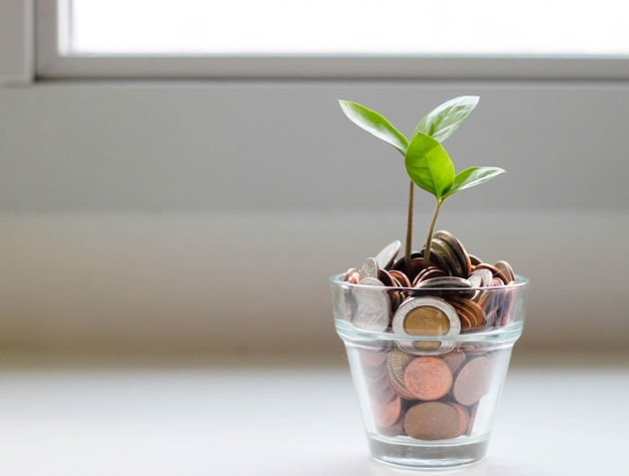 tipps gegen langweile münzen in glas pflanze budget planen