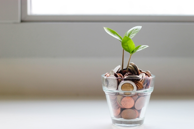 tipps gegen langweile münzen in glas pflanze budget planen