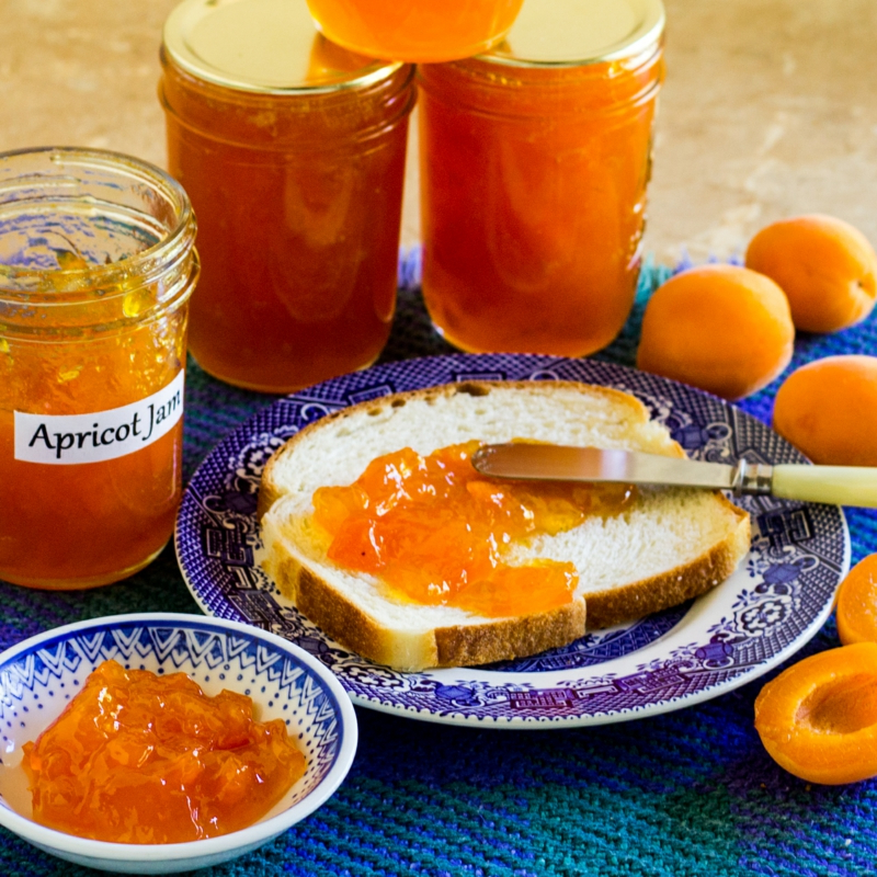 traditionelle marmelade mit mandarinen rezepte selber machen