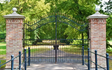 waldemar brandt 6vved4loxl0 unsplash