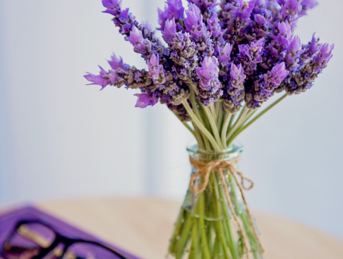13 kleine vase mit blumen lavendel zurückschneiden