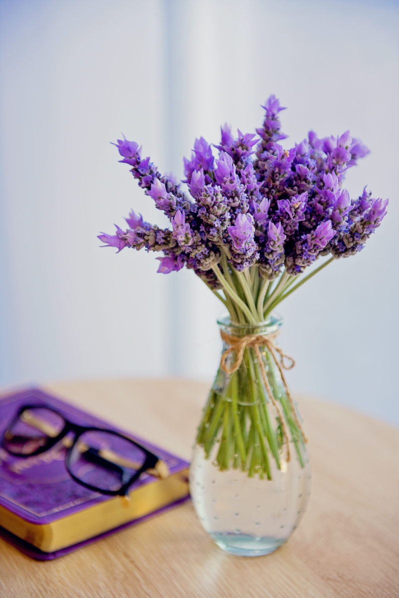 13 kleine vase mit blumen lavendel zurückschneiden