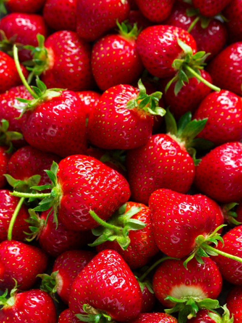 17 erdbeere im märz pflanzen gartenarbeit im märz