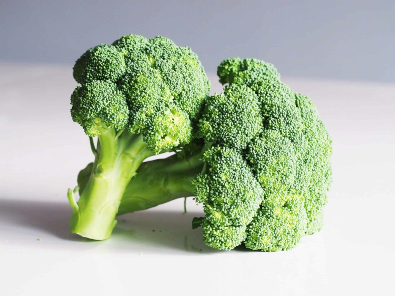 19 brokkoli pflanzen wann garten im märz pflege