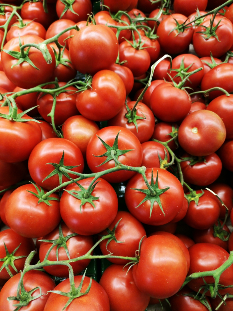9 tomaten wann pflanzen gartenarbeit im märz infos