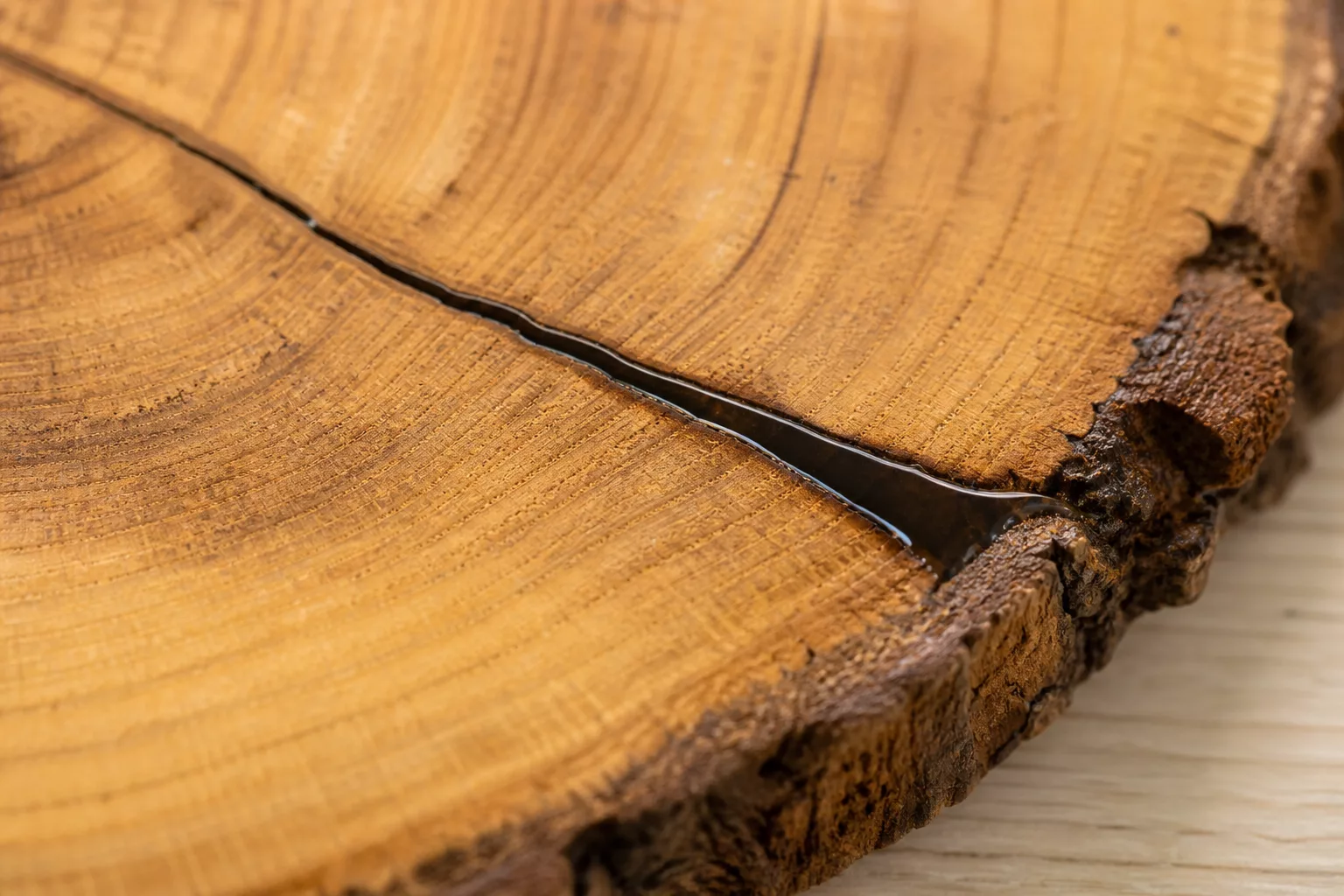 Makroaufnahme eines mit Epoxidharz gefüllten Risses in Baumkante