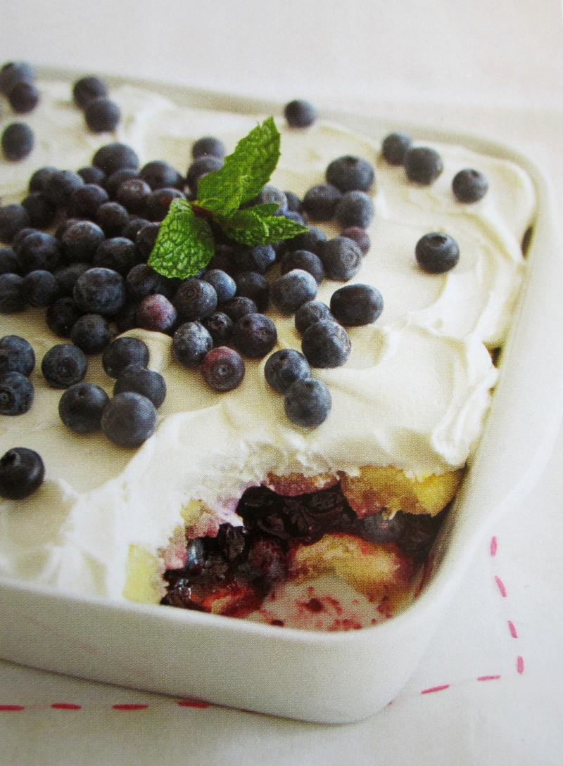 blaubeer zitronen tiramisu rezept ohen alkohol zum nachtisch zubereiten