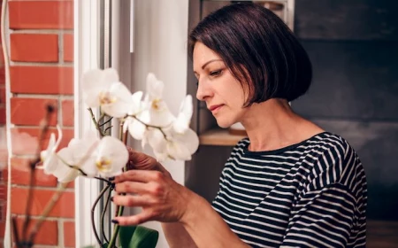 dünger aus bananenschalen für orchideen selber machen ideen wie und wann