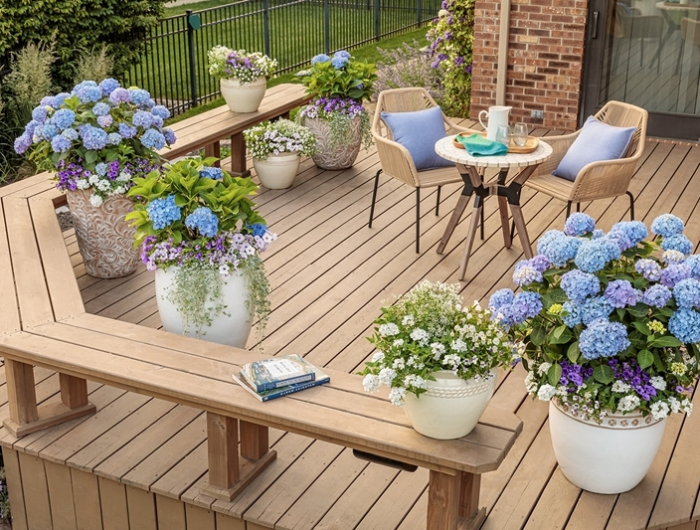 hortensien und graeser kombinieren terrasse mit blumen dekorieren