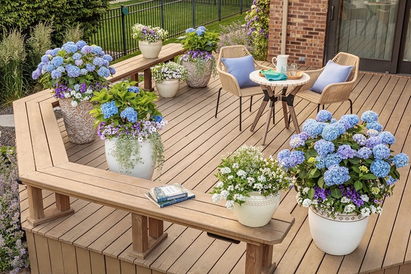 hortensien und graeser kombinieren terrasse mit blumen dekorieren