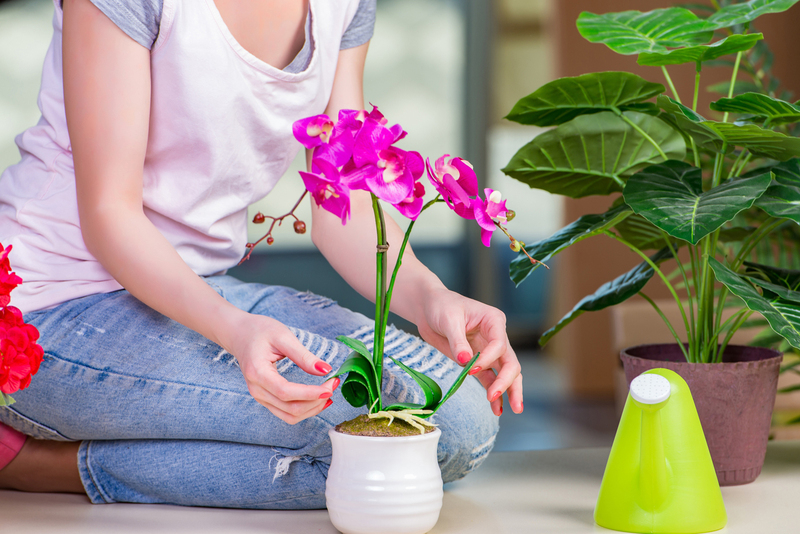 woman taking care of home plants