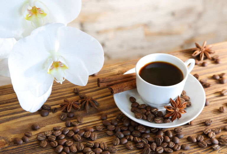 Kaffeesatz als Dünger für Orchideen Ist das wirklich effektiv?