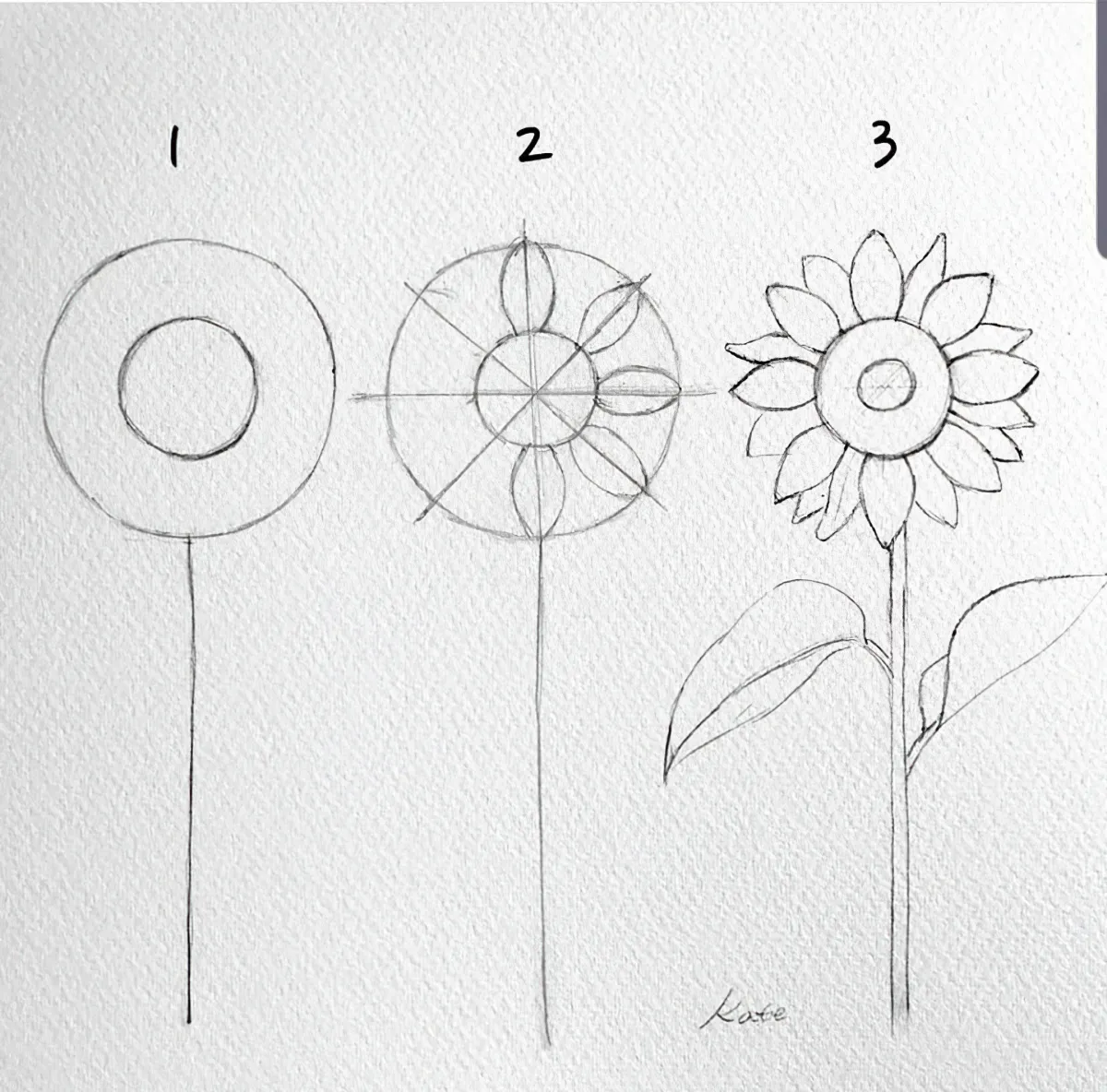 sonnenblume zeichnen in drei einfachen schritten