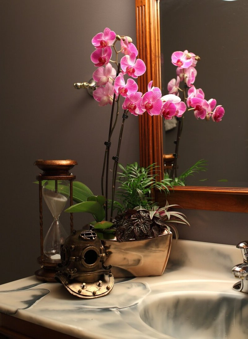 tipps wie können sie die orchideen richtig pflegen und was brauchen sie dafür