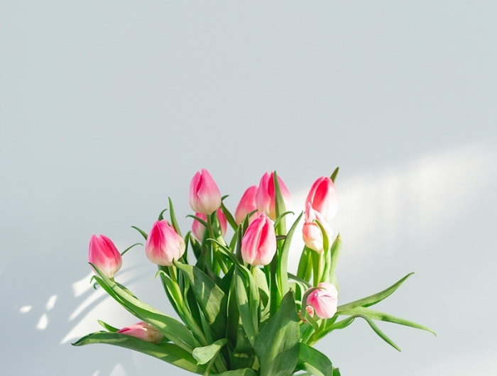 tulpen in vase wie halten sie laenger frische blumen zimmerdeko