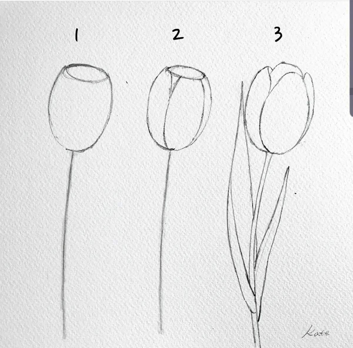 tulpen zeichnen in drei schritten anleitung