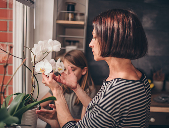 mother and daughter standing in the kitchen by the window and checking orchid