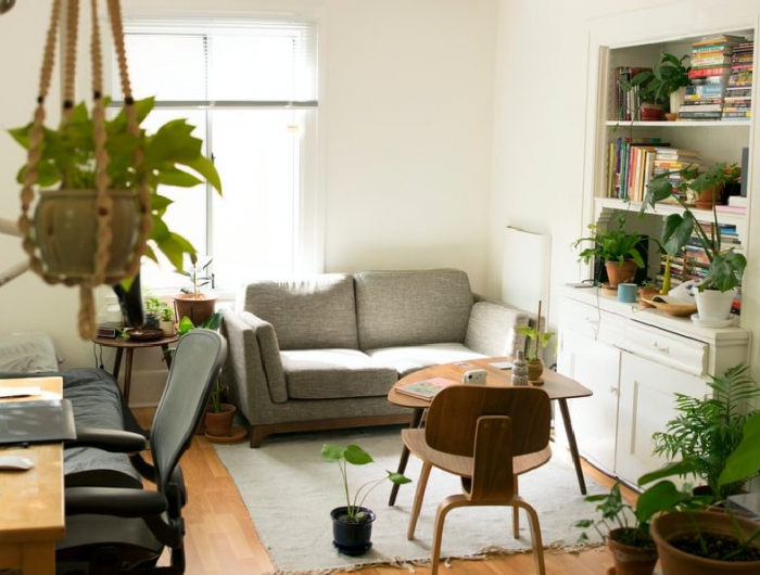 16 moderne und pflegeleichte Zimmerpflanzen für mehr Grün zu Hause