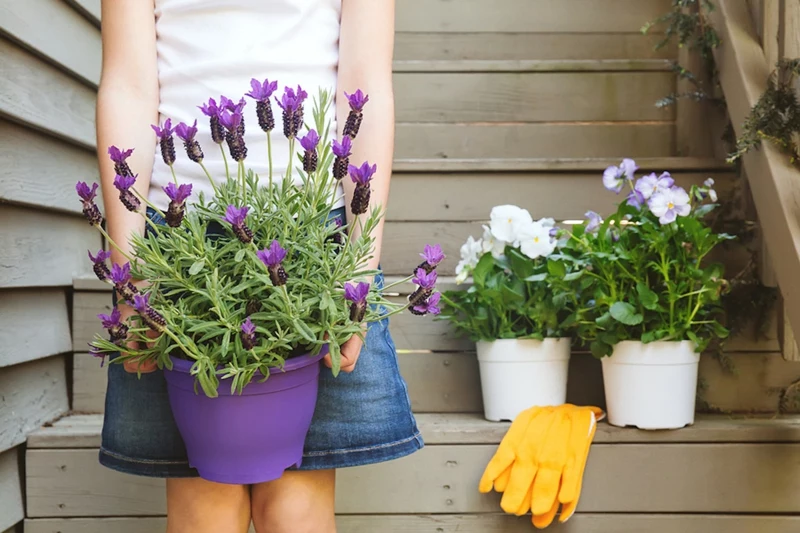 girl holding lavender pot at the backyard stairs with white viol