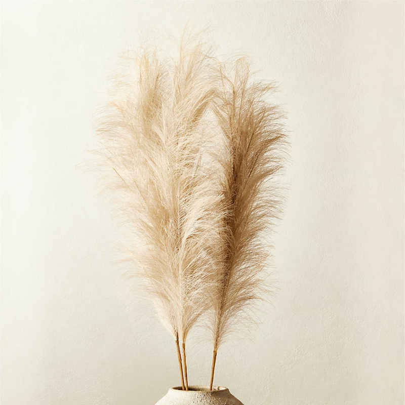 10 getrockente dekoration minimalistisch wann pampasgras schneiden