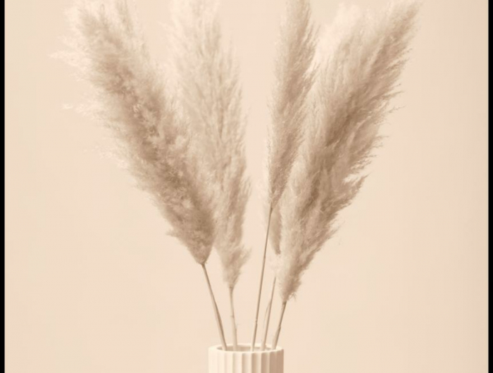 8 minimalistische vase mit pampasgras wann schneidet man pampasgras