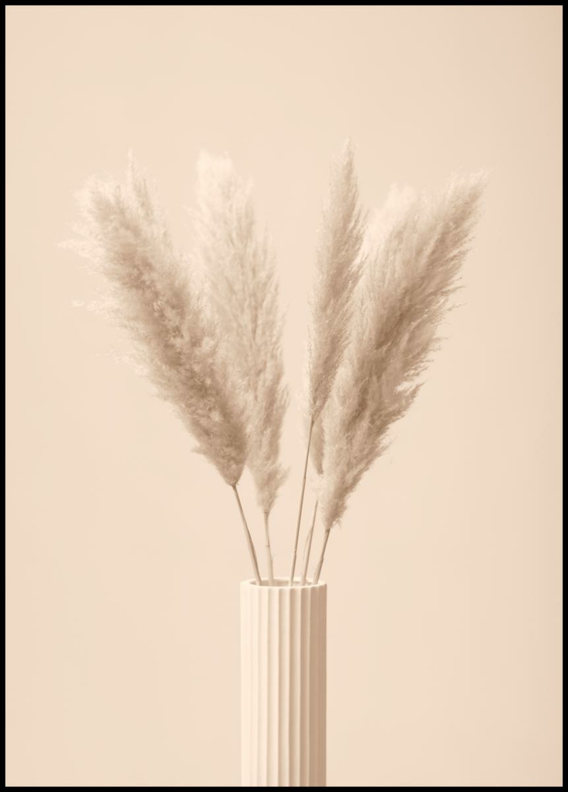 8 minimalistische vase mit pampasgras wann schneidet man pampasgras