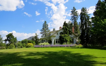 antworten auf die fragen wie muessen sie ihre rasen maehen