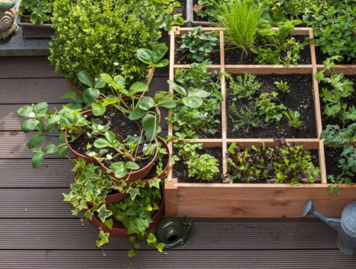 balkonkaesten bepflanzen balkon beet urban garden welches obst waechst im halbschatten beet mit kraeutern bepflanzen