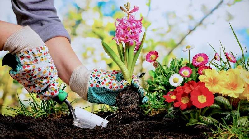 gardener planting flowers gardening skills ss featured