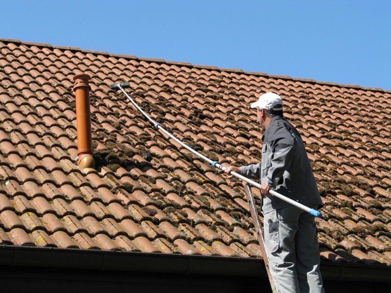 gruenbelag von markise entfernen ein mann reinigt das dach