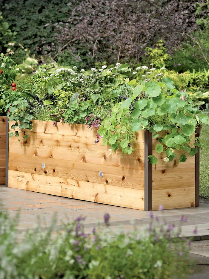 hochbeet anlegen hohe gartenbeet aus bretten mit eine menge grüne pflanzen