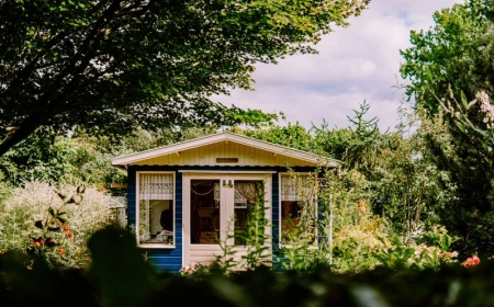 hochstamm immergruen viele arten von gartenpflanzen