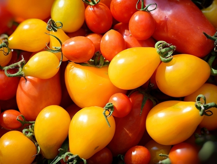 tomatenduenger selber machen gelbe und rote toamten