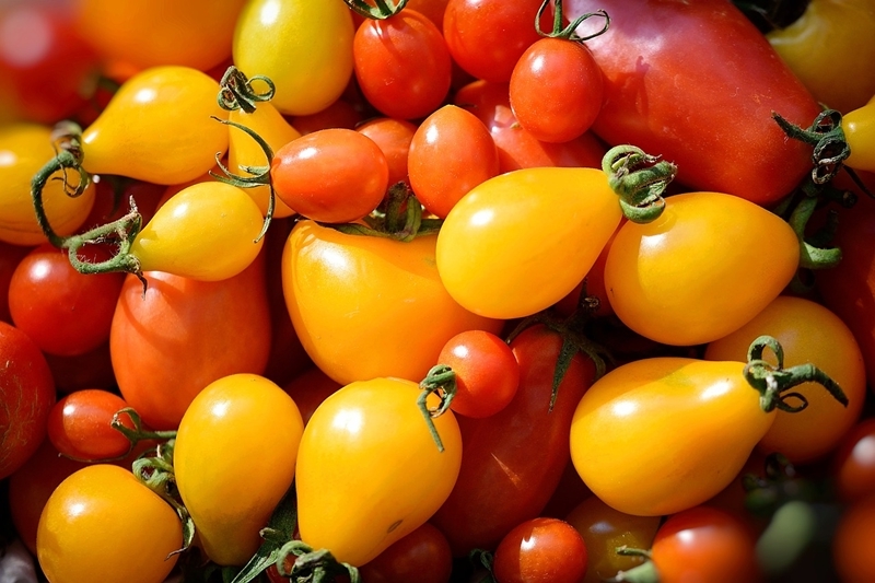 tomatenduenger selber machen gelbe und rote toamten
