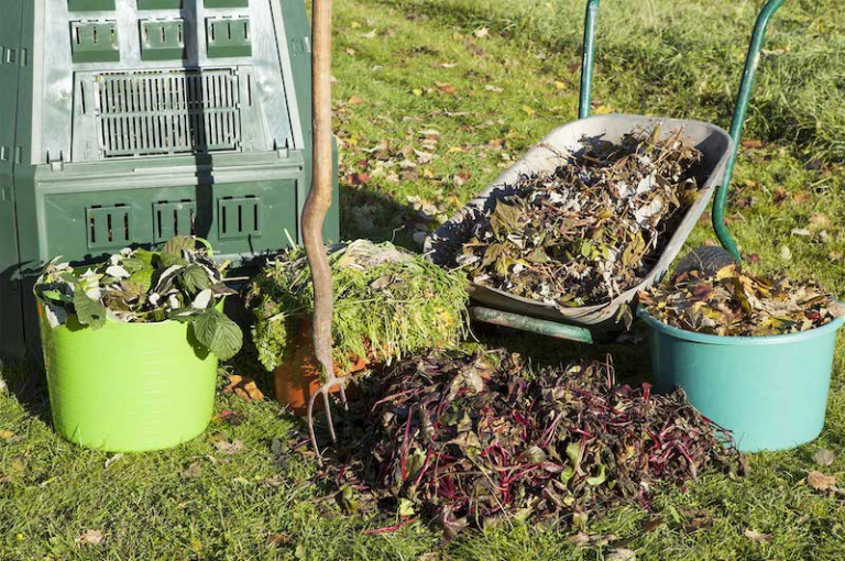 Gräser schneiden Wann genau im Frühjahr?
