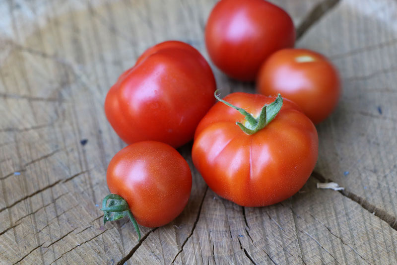 was ist der beste tomatenduenger duenger fuer tomaten naturduenger