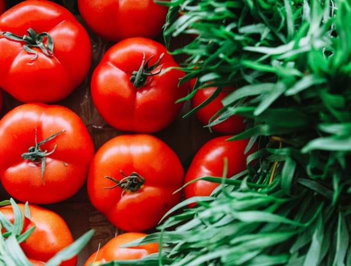 welchen duenger fuer tomaten die besten tomatendünger uasmittel