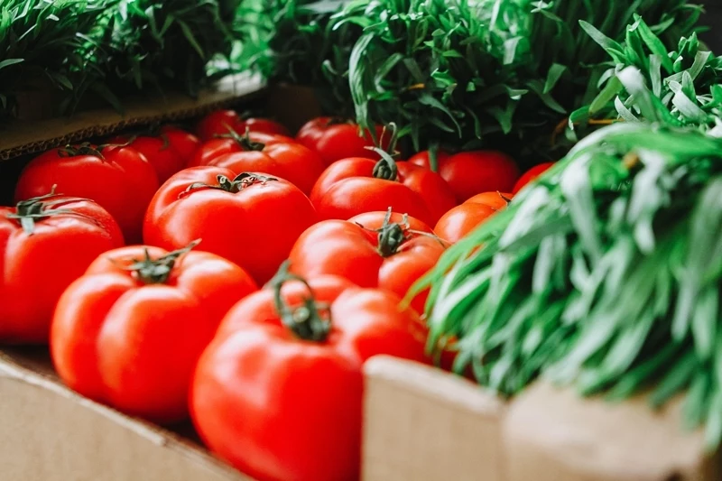 welchen duenger fuer tomaten rote reife tomaten tomatenpflege tipps