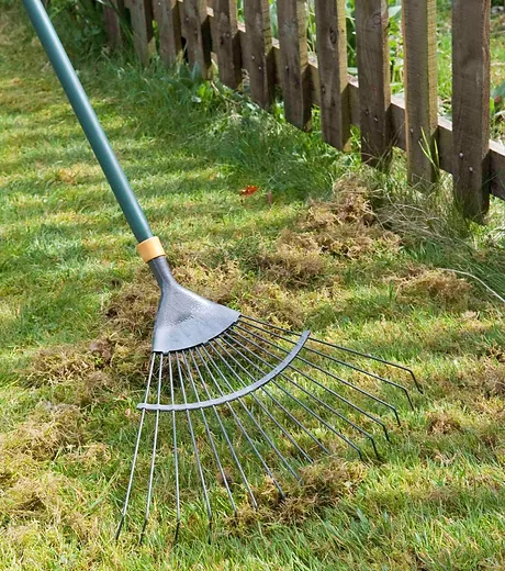 wichtige pflege im fruehjahr graeser schneiden und pflegen was ist wichtig